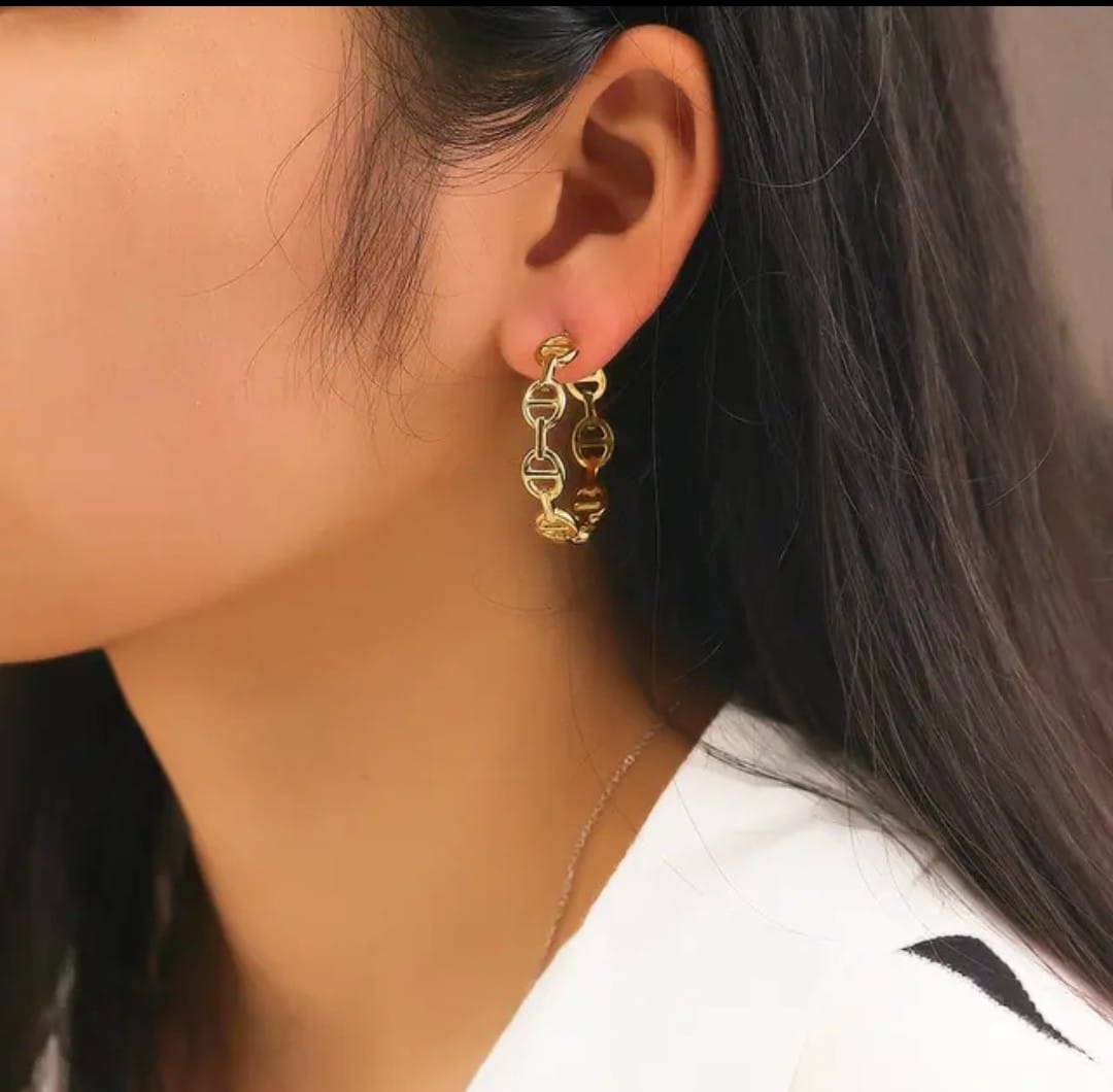 Earring Hoop Gucci Link